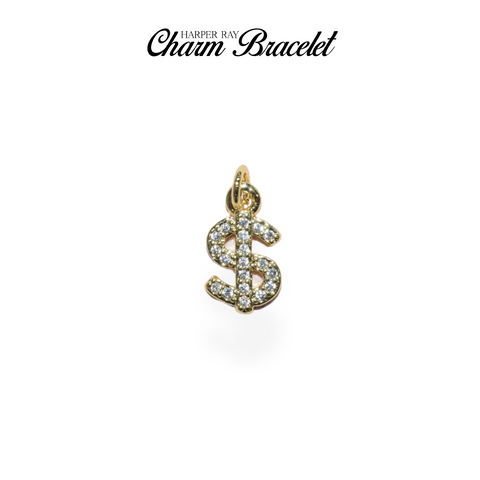 Charm Bracelet Charm - Mo Money, Mo Problems