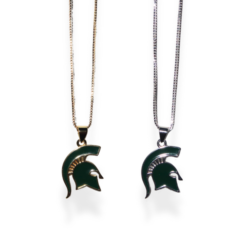 Go Spartans!