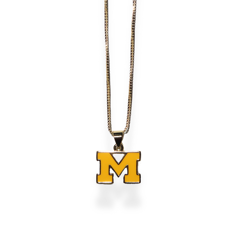 Go Wolverines!