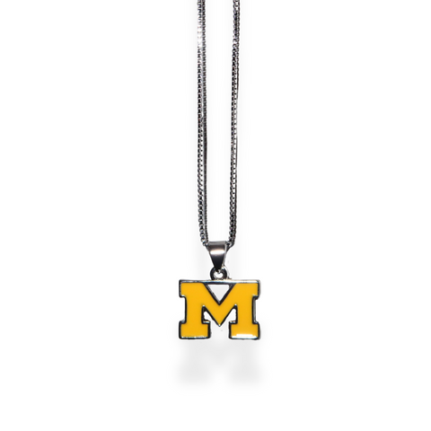 Go Wolverines!