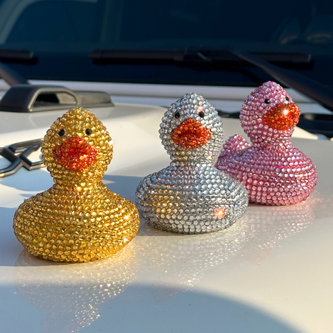 The Dazzling Duck